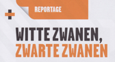 Witte zwanen zwarte zwanen - Sander Hiskemöller / Theatermaker februari 2016